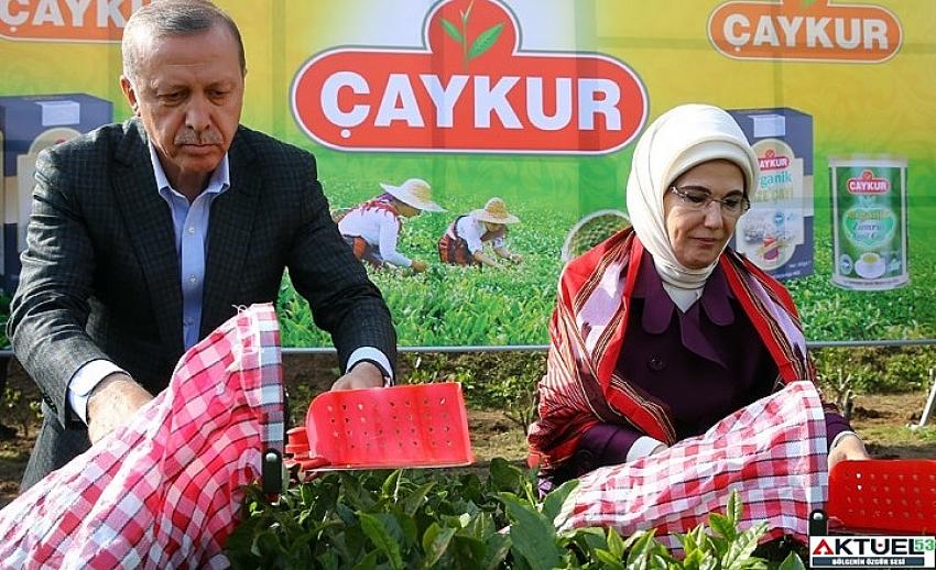 Erdoğan,2021 Yaş ÇAY Fiyatını 4 TL olarak Açıkladı
