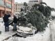 Kar yağışına dayanamayan ağaç, otomobilin üzerine devrildi