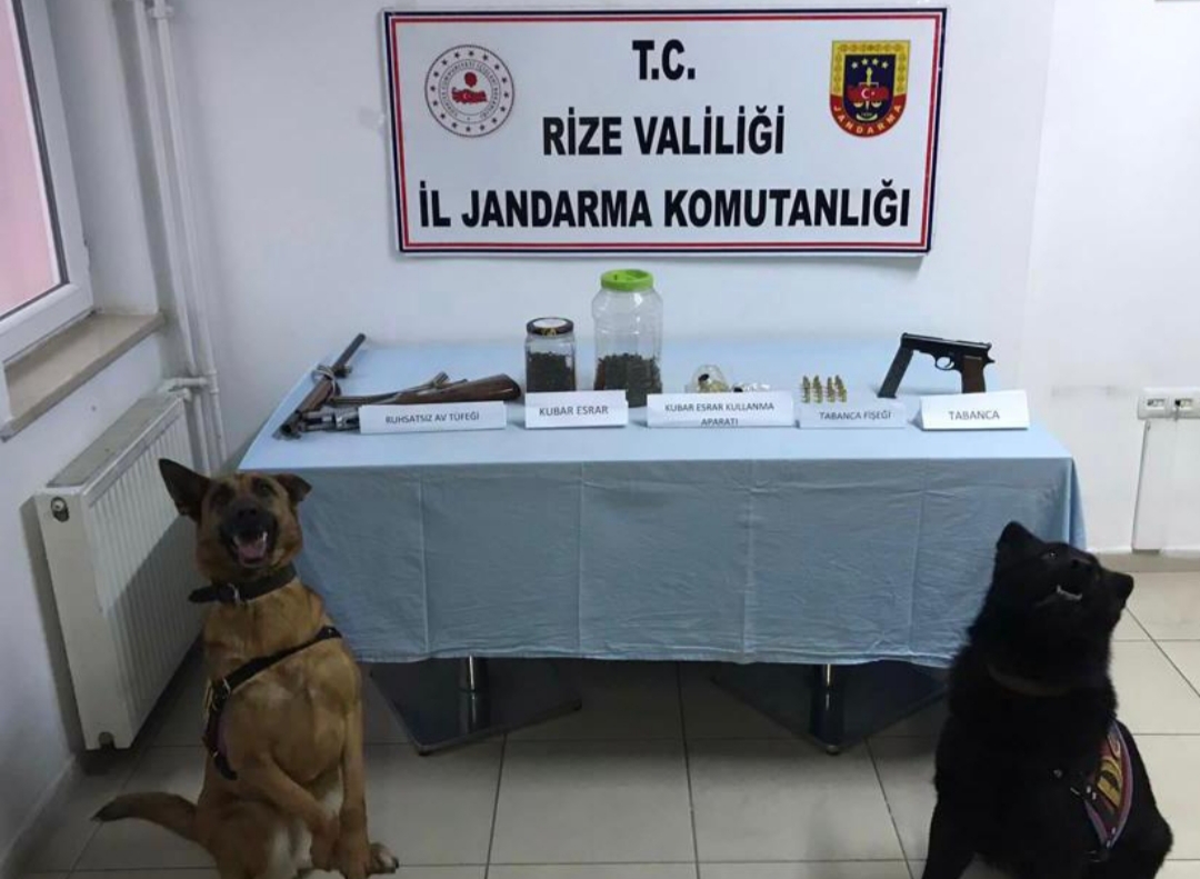 Rize’de uyuşturucu ve silah operasyonunda 29 kişi tutuklandı