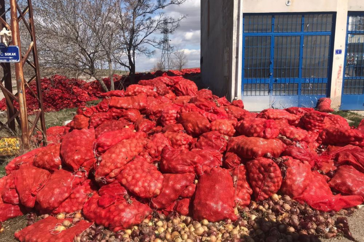 Başkent’te yol kenarına atılmış yüzlerce çuval soğan bulundu