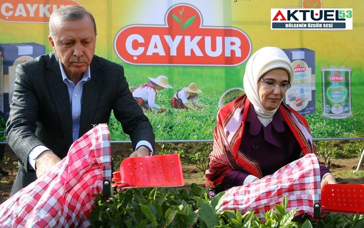 Cumhurbaşkanı Erdoğan yaş çay taban fiyatını desteklemeler ile birlikte 7 lira olarak açıkladı