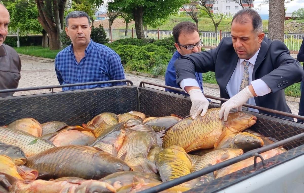 Kaçak avlandığı belirlenen 500 kilogram balık ele geçirildi