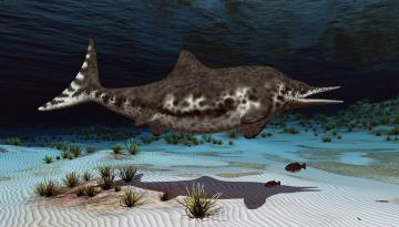 Şili’de 130 milyon yıllık hamile deniz ejderhası fosili bulundu