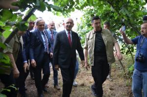 Kılıçdaroğlu: "Fındık Karadeniz Bölgesi'nin stratejik ürünüdür"