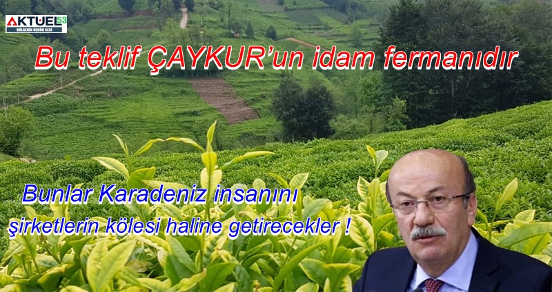 Skandal Çay Kanunu’nu ,Hayati Yazıcı ile borsa başkanı Erdoğan hazırladı!