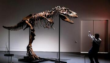 76 milyon yıllık dinozor iskeleti açık artırmayla satılacak