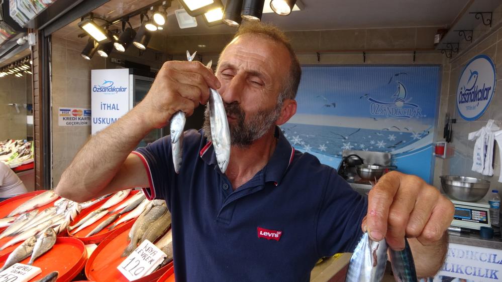 Karadeniz’de Çingene palamudu balıkçıları umutlandırdı