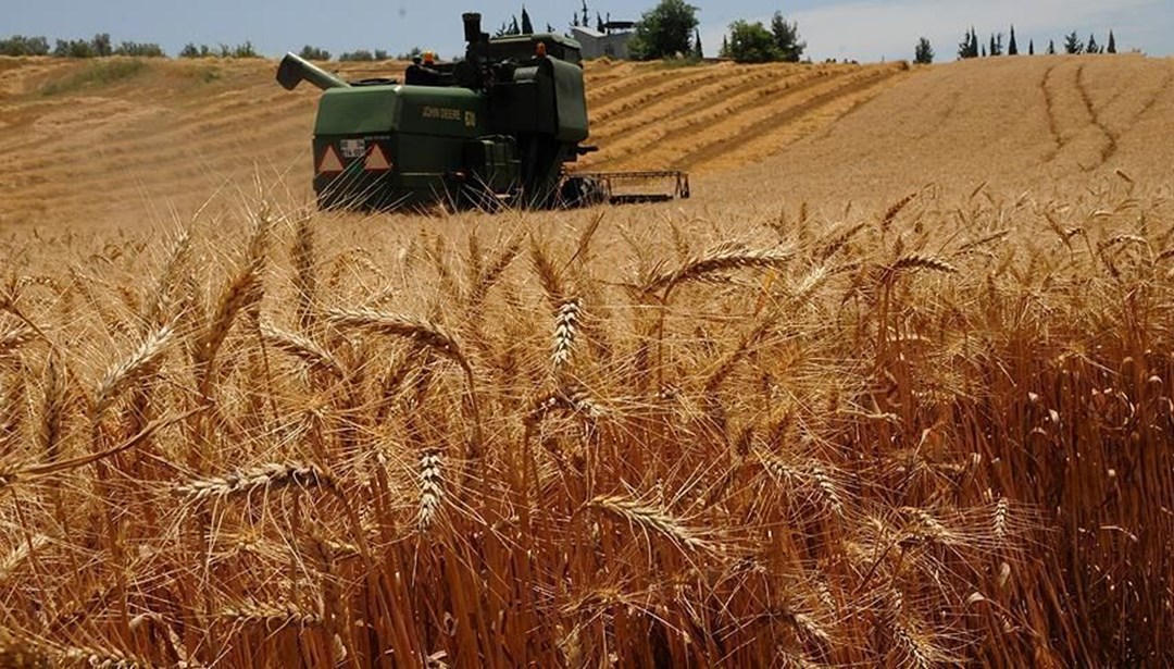 Buğday ve mısırda referandum endişesi