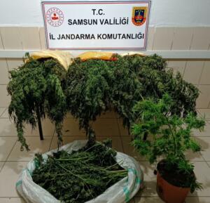 Samsun'da Büyük uyuşturucu ve kaçakçılık operasyonlarında 65 gözaltı