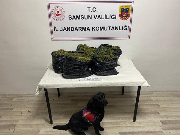 Samsun’da Büyük uyuşturucu ve kaçakçılık operasyonlarında 65 gözaltı