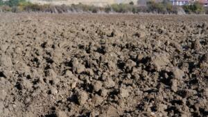 Korkutan rapor korkutan görüntü: Kuraklık toprağı taş gibi yaptı, çiftçi ekim yapamıyor