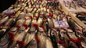 Yunanistan, Türkiye’den AB’ye balık ihracatına yasak girişimi başlatıyor