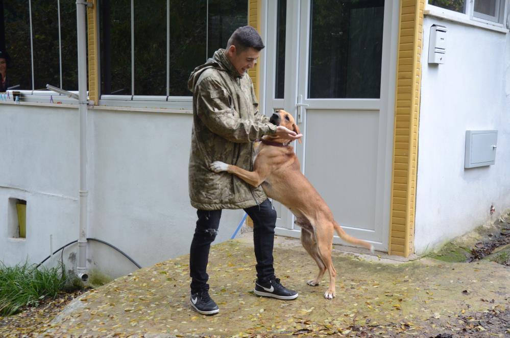 Ordu’da Fino isimli köpeğin askerden dönen sahibini karşılaması duygulandırdı