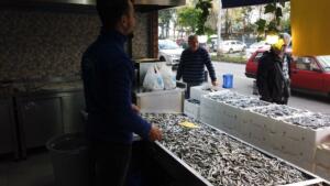 Rize'de Hamsi Kavağa Çıktı,Türkiye'de en ucuz hamsi Rize'de satılıyor