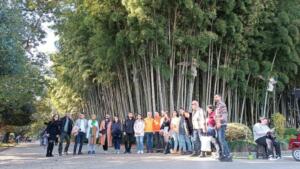 Türkiye’den Sarp Sınır kapısından Gürcistan’a, günü birlik gezi turlarına yoğun ilgi