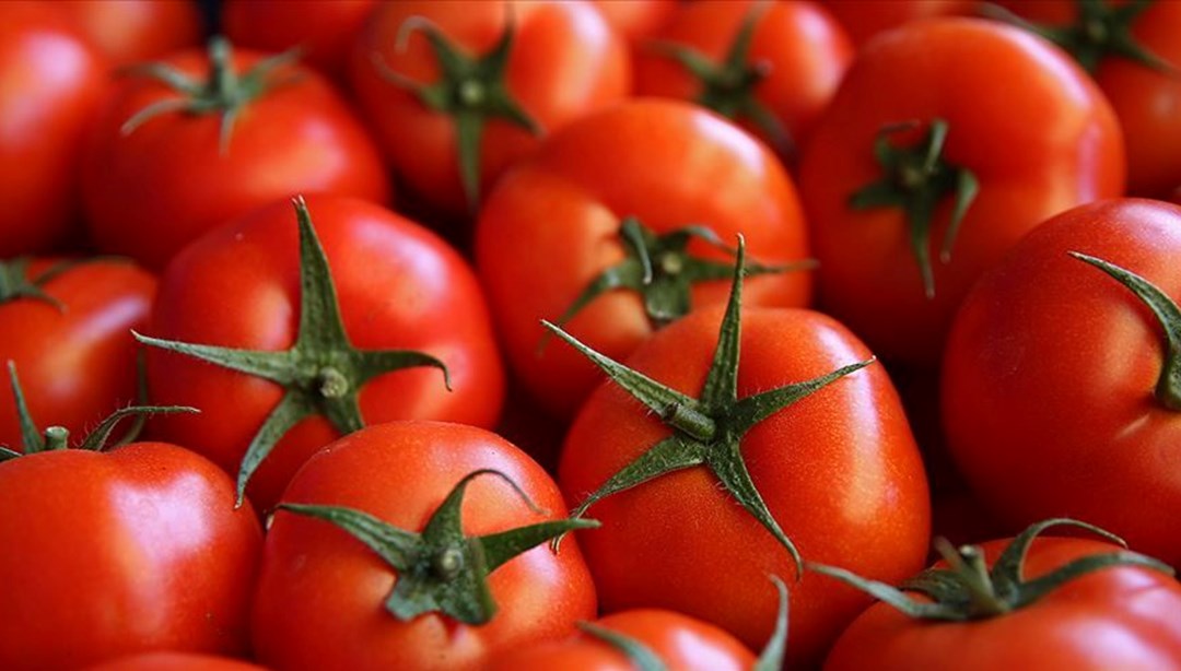 İstanbul’da kasım ayının zam şampiyonu domates