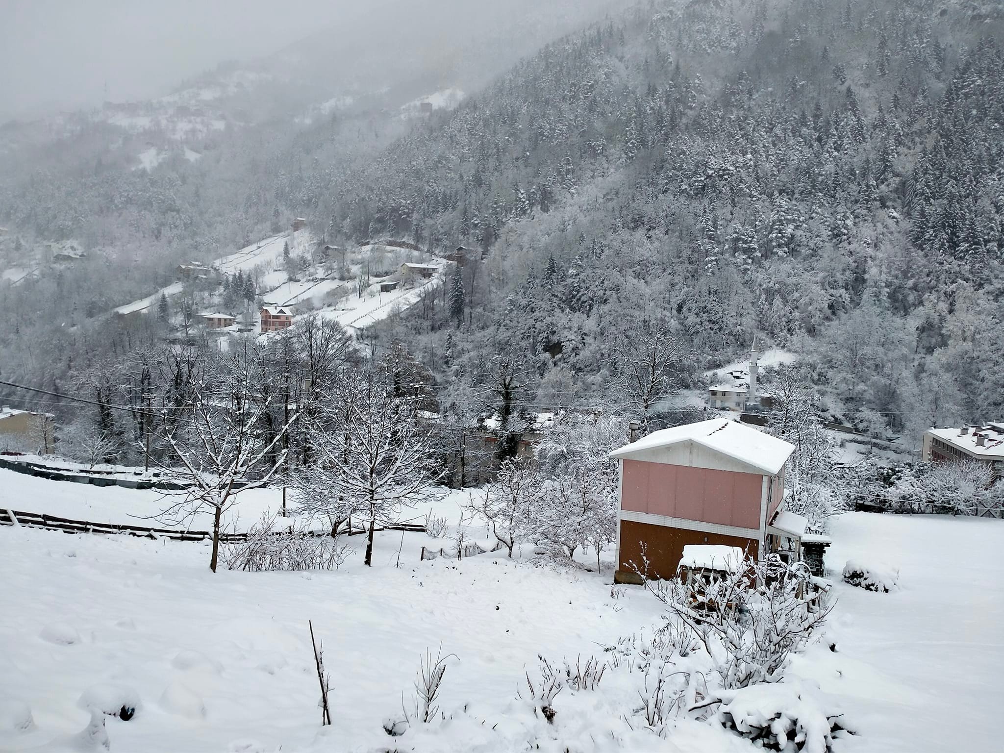 Karadeniz’in yüksek kesimlerinde kar yağışı bekleniyor