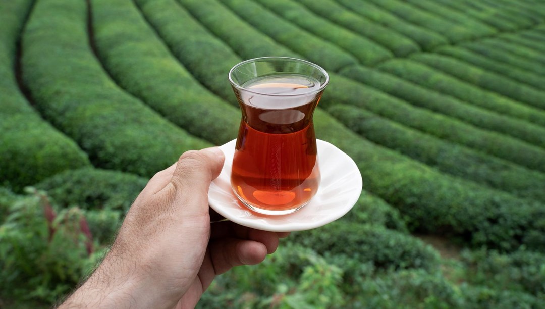 Çaykur’dan destek ödemeleriyle ilgili açıklama: Yaş çay destek ödemeleri yattı mı?