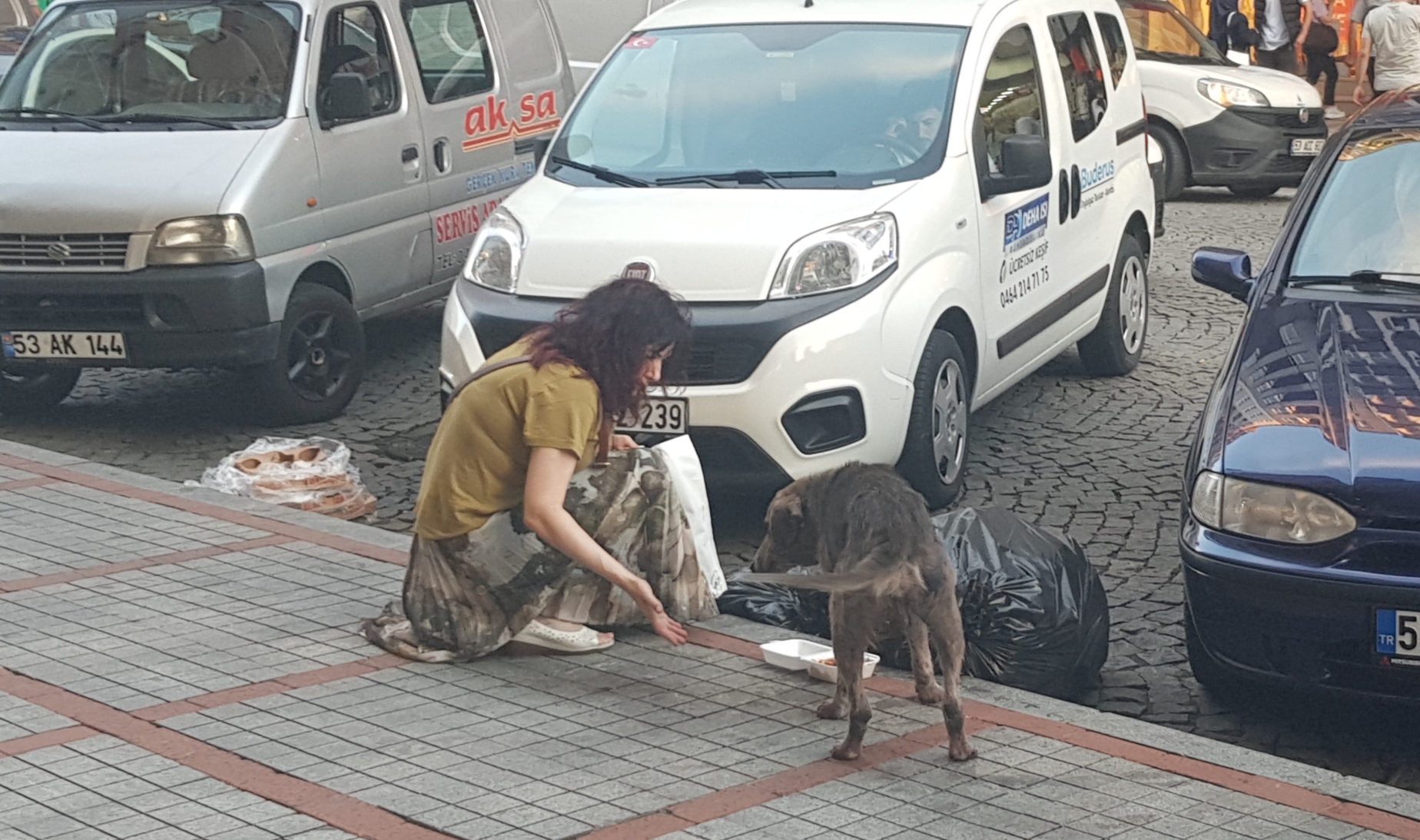 Rize’de gönülleri ısıtan davranış, genç kadın Sokak hayvanına tavuk döner ikram etti