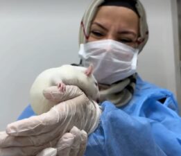RTEÜ’de, Deney Hayvanları Uygulama ve Araştırma Merkezi açıldı