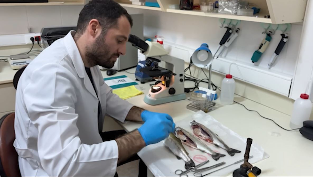RTEÜ Su Ürünleri Fakültesi,Balık Hastalıklarının Önlenmesine Katkıda Bulunuyor