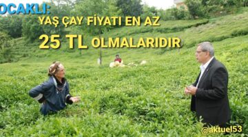 Ocaklı: Yaş çay Fiyatı En Az 25 TL Olmalıdır! CHP’nin çay üreticilerinin sorunlarının araştırılması önergesi, AKP ve MHP milletvekillerinin oylarıyla reddedildi