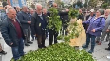 Akp’nin Atanmış Tarım Bakanı ve Zeytin Ekmek Hesabı Yapılan Yaş Çay fiyatı