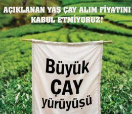 Karadeniz’de Yaş çay fiyatına Tepkiler bitmiyor! Rize’de Büyük Çay Yürüyüşü Düzenlenecek