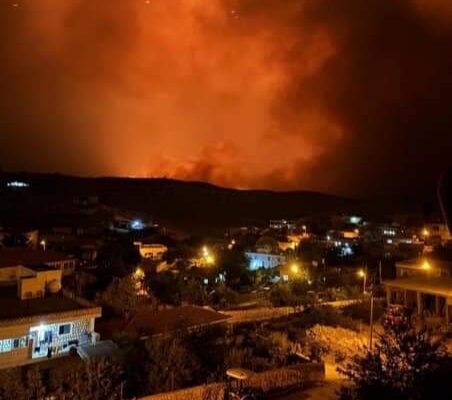 DİYARBAKIR VE MARDİN ‘DE BÜYÜK ANIZ YANGININDA 5 ÖLÜ 44 YARALI