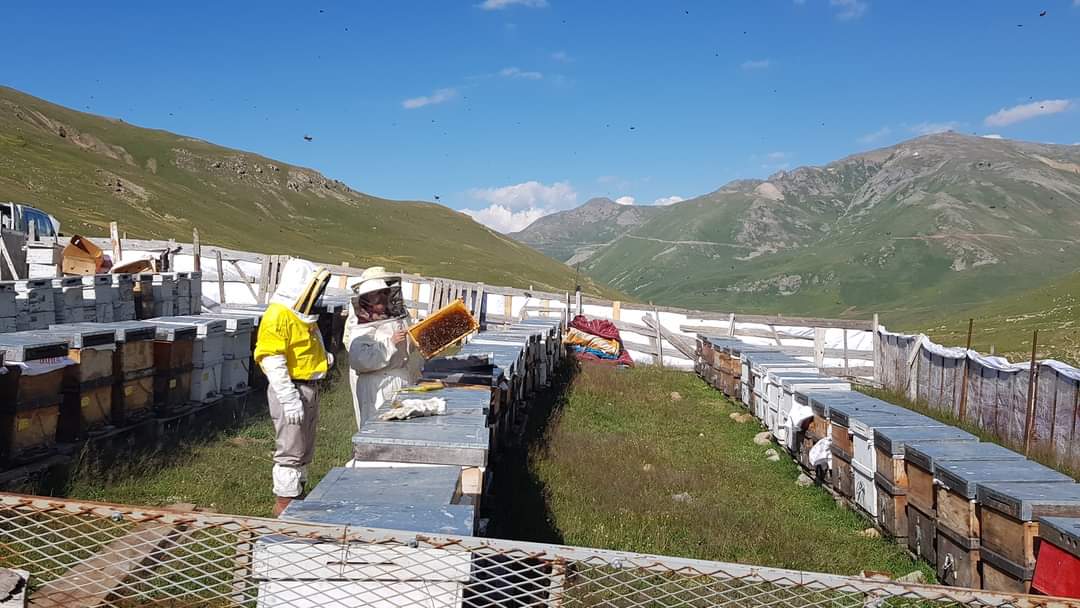 İKİZDERE’DE KONAKLAMA BELGESİ ALMADAN,KÖYLERE ARI KOVANI KONULMASINA İZİN VERILMEYECEK